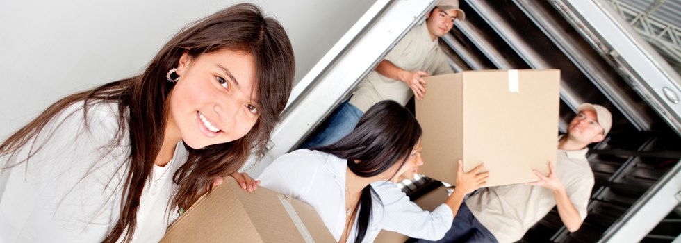 Professional Removalists Hotham Heights